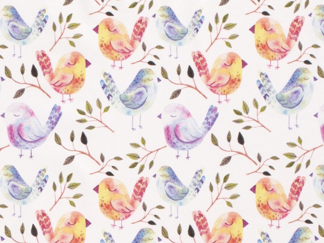 Vorbestellung 1m x 1,50m Baumwoll Jersey Vögel Digital Druck