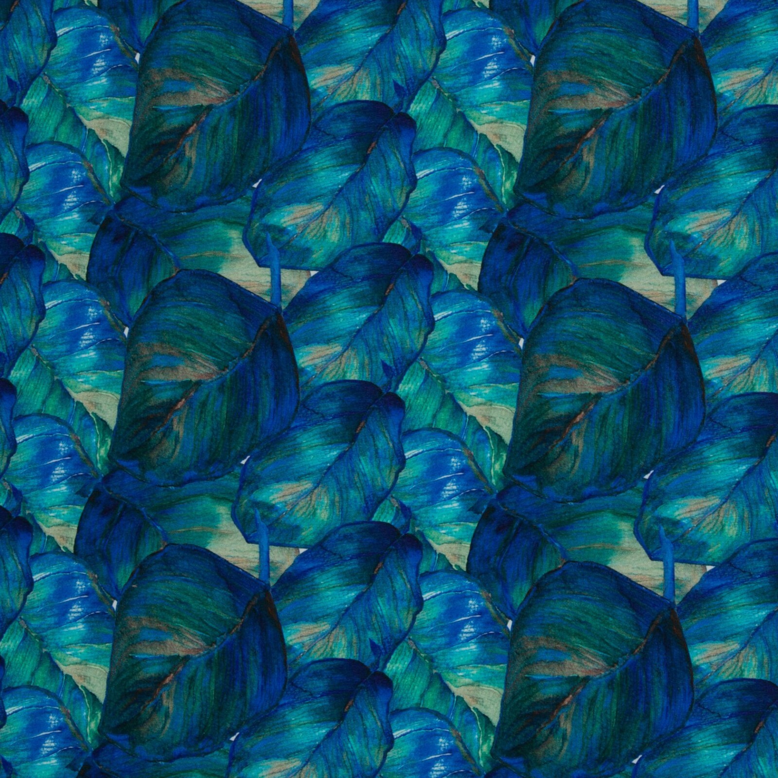 Vorbestellung 1m x 1,50m Baumwoll Jersey Elias Blätter Türkis-Blau – Bild 3