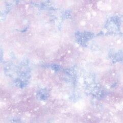 1267447905e27c983fd79070ba7d9e78