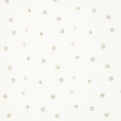 42d1c27e62ae7c4bb1d8b72e52e0d337