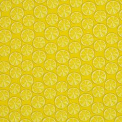 494f0ced83e4fdfce211e0018c50011b