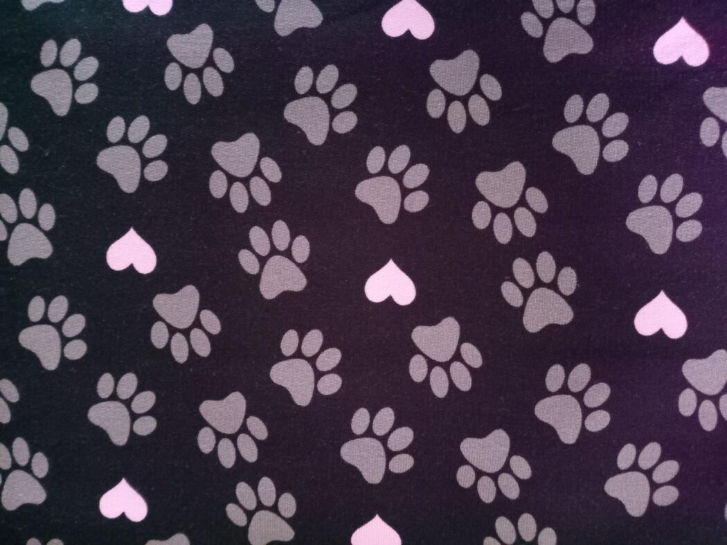 74b87915289a9a0d836480c23a7a06ba