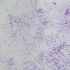 91b9118fef6b004523f154d250b31285