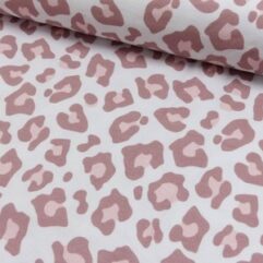 9a6d203c374325c013557bcdff643111