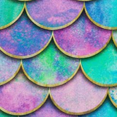 51e8c784b6caa1b13fcf4f9a31480333