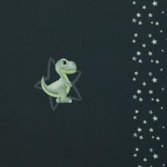 c47a7a1cd7a25353f1df8440b93519d9