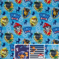 2f4cd11676ba40e56e730b2d1e117ea5