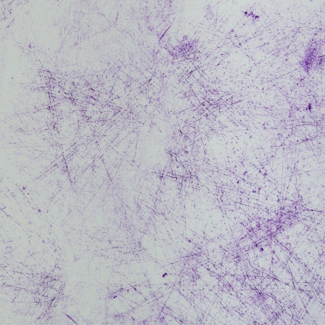 f0651b9c7941cf2adc6f66650c2ac5f4