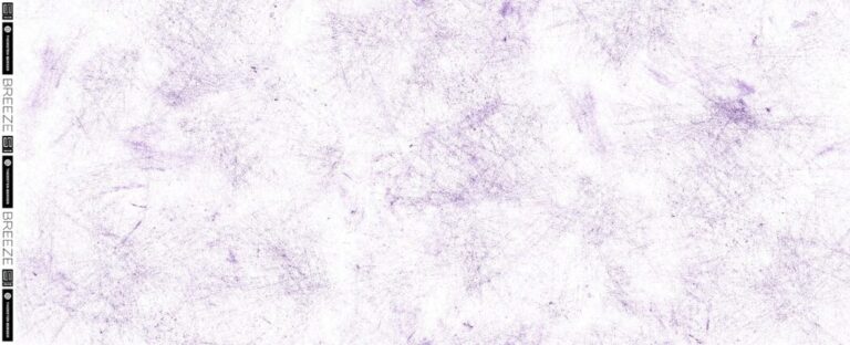25a1ed6d0010387ae9e7c0221e90f4c3