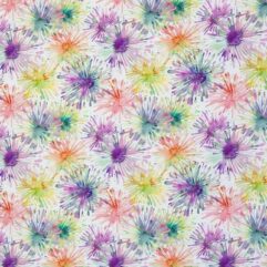 fe78d09156345ff51d1383a8c86f0755