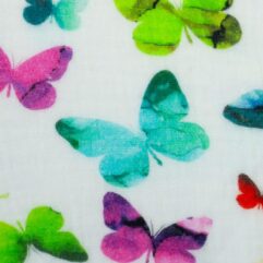 d4b617cb3ea8ab5c7088df05628042a0