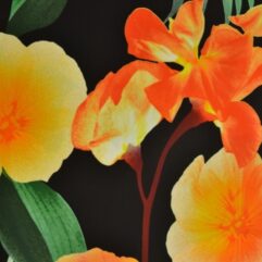 5d3bc7a0472e3b362a66ff3766ec73f8