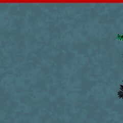 62595617b5229b220411e553bbc55936