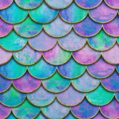 796091650ab89fc40f201984f50f005d