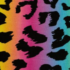 453b895f793236c25a389091d7fd3d21