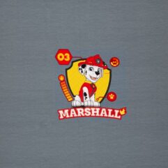 305bad4904bed35ba13a4f2605c4faff