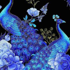 d711f185ed5e4647a84c2a5e87ddf2da